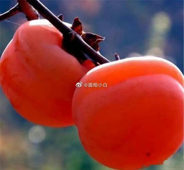治各类骨质增生的一张秘验方[赞][赞][赞]张文泰骨痹汤【组成】白芍30~60g