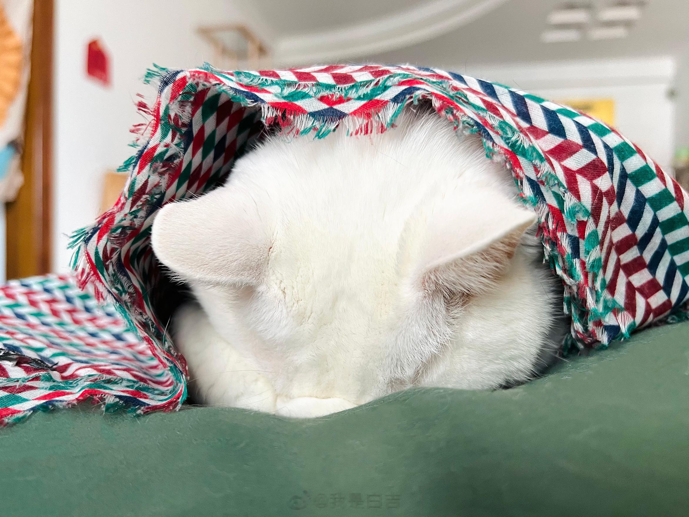 好久沒見寶寶抱頭惹～ ​​​