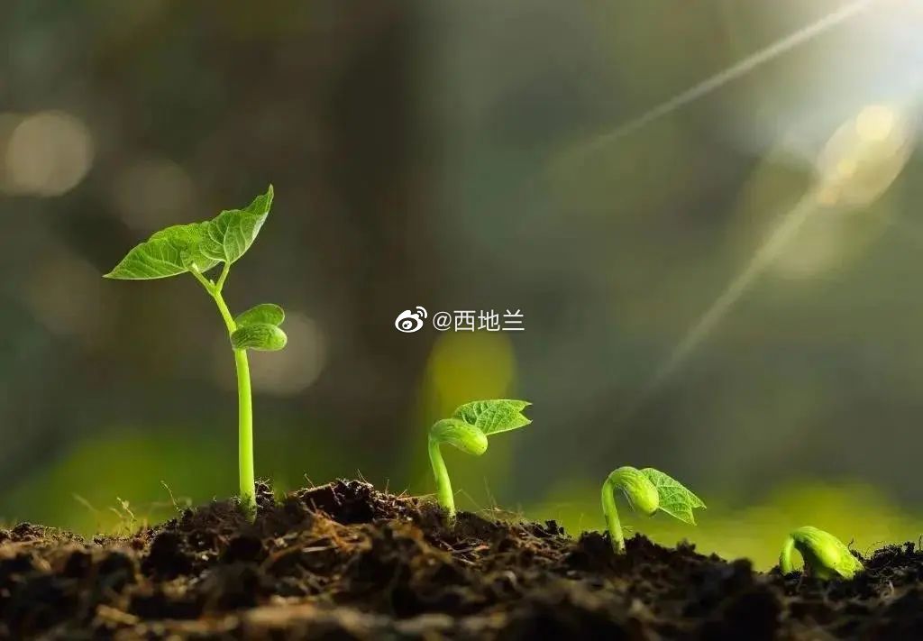 新冠测评　　昨天下午六点许感觉