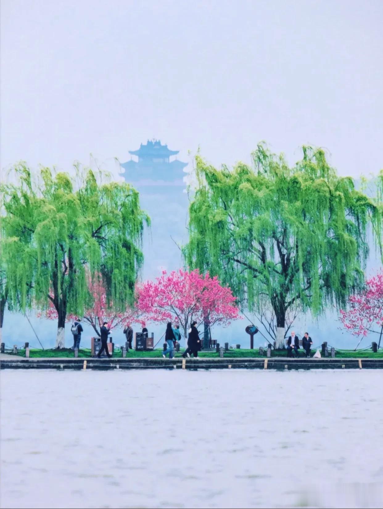 这可是王维诗里的「桃红柳绿」
桃红复含宿雨
柳録更帯春烟
—王维 • 田园

所