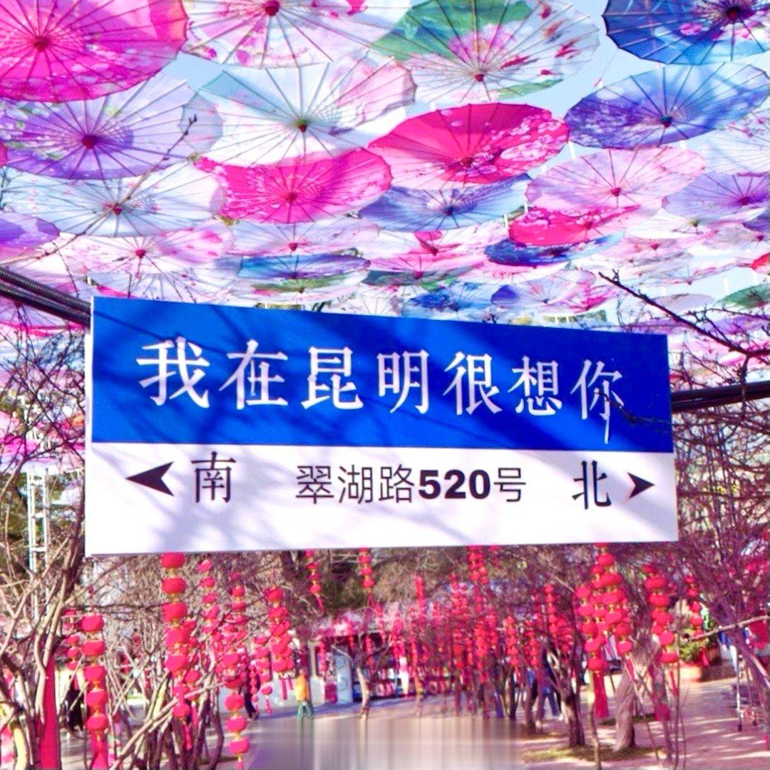 【我在昆明很想你#昆明天空之伞