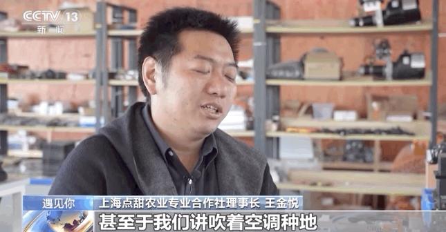 上海一试验田实现“喝着咖啡吹着空调种地”！
讲道理，但凡是下过地、当过农民的人都