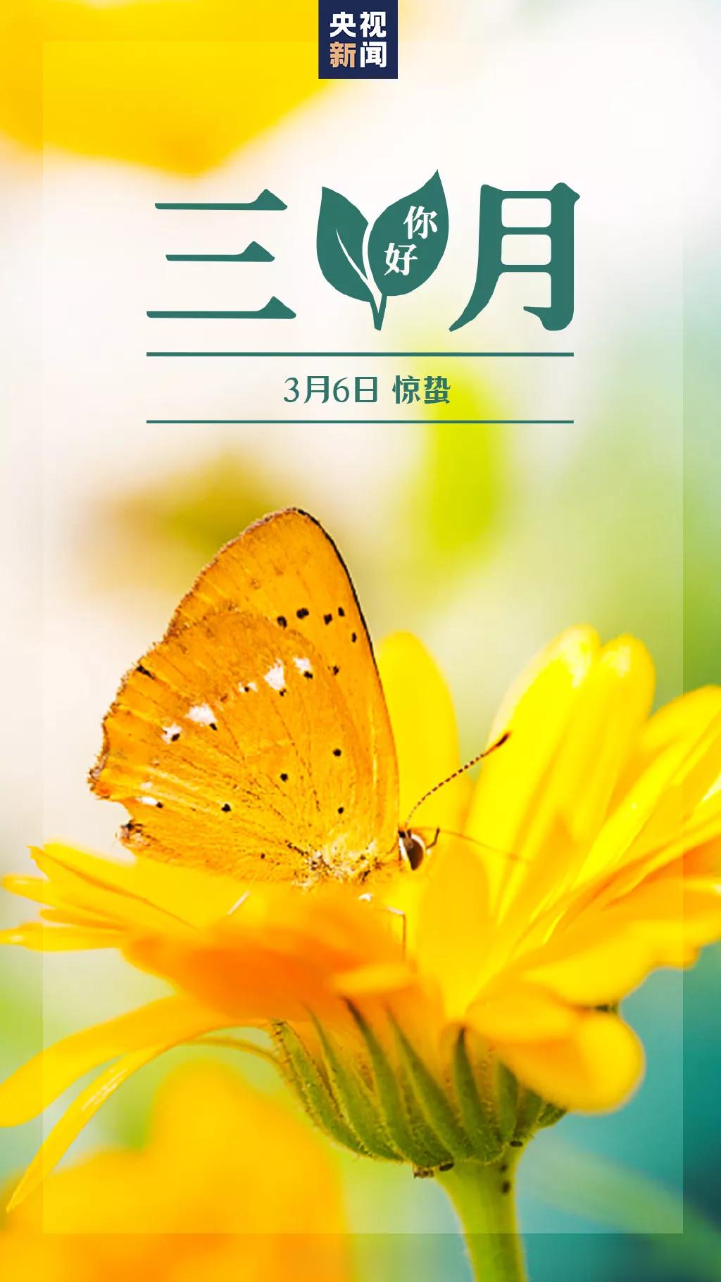  雨过花开渐繁盛，雷鸣春醒万物生。惊蛰时节，春意渐浓。愿你向上，向美，一切美好都