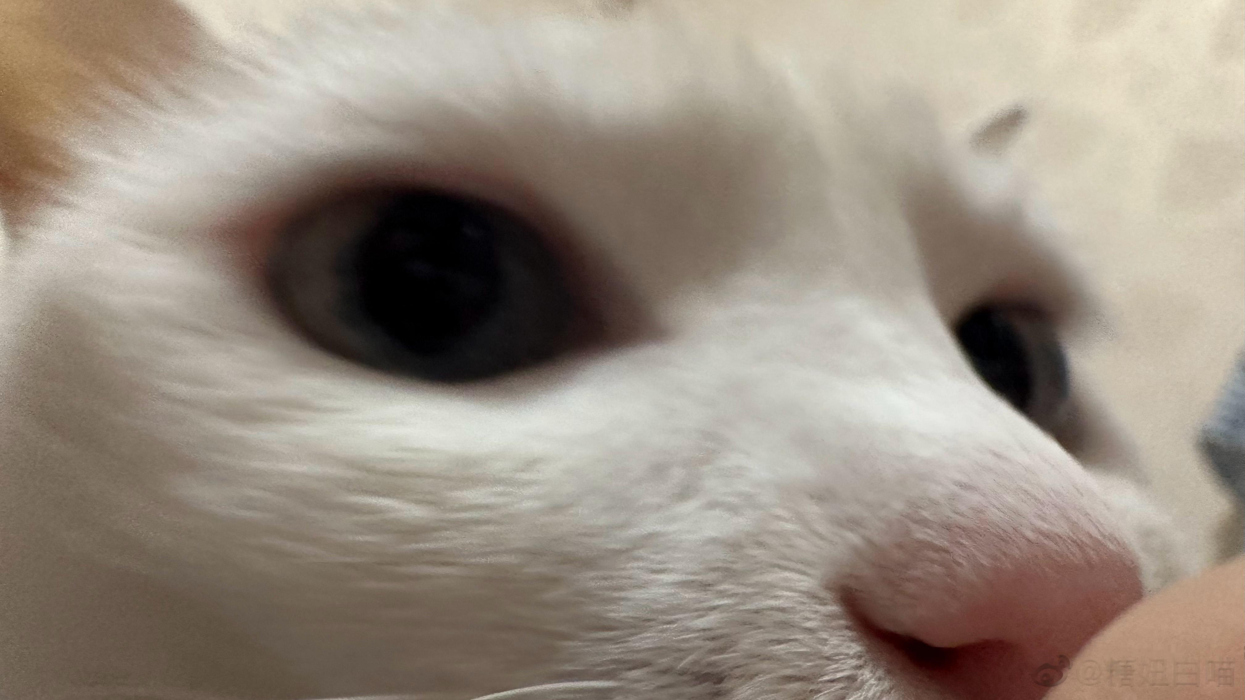  来自糖的亲亲😘😘 ​​​