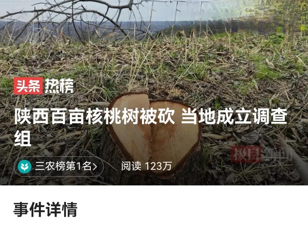 头条热榜：陕西百亩核桃树被砍当地成立调查组
近日，陕西省某地区百亩核桃树遭到大规
