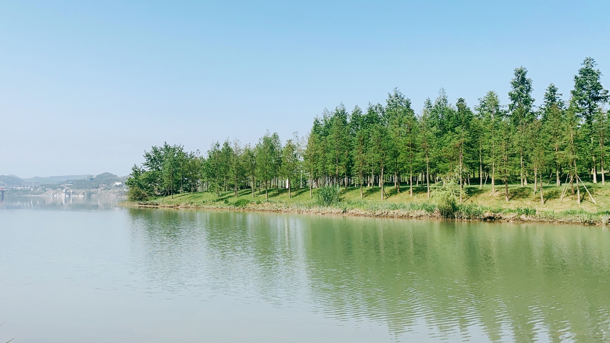 周末愉快 随手拍下眼前的风景# 人间最美四月天最适合外岀踏青，不过除门记得做好防