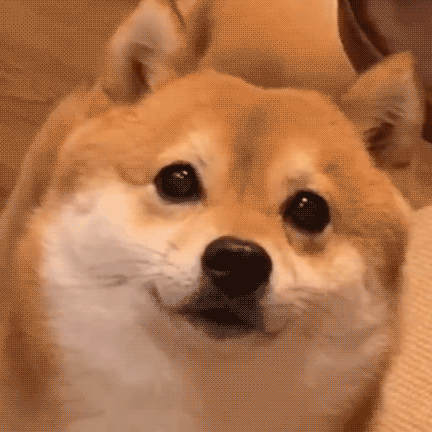  想看宝宝又想你了…… 你就说给不给看吧，到底给不给看，给不给看此时此刻你的粉丝