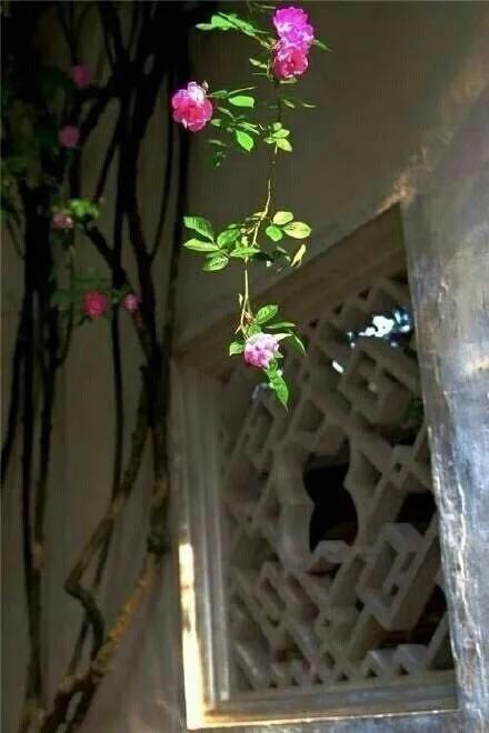 有人辞官归故里，有人星夜赶科场。 
少年不知愁滋味，老来方知行路难。 
    