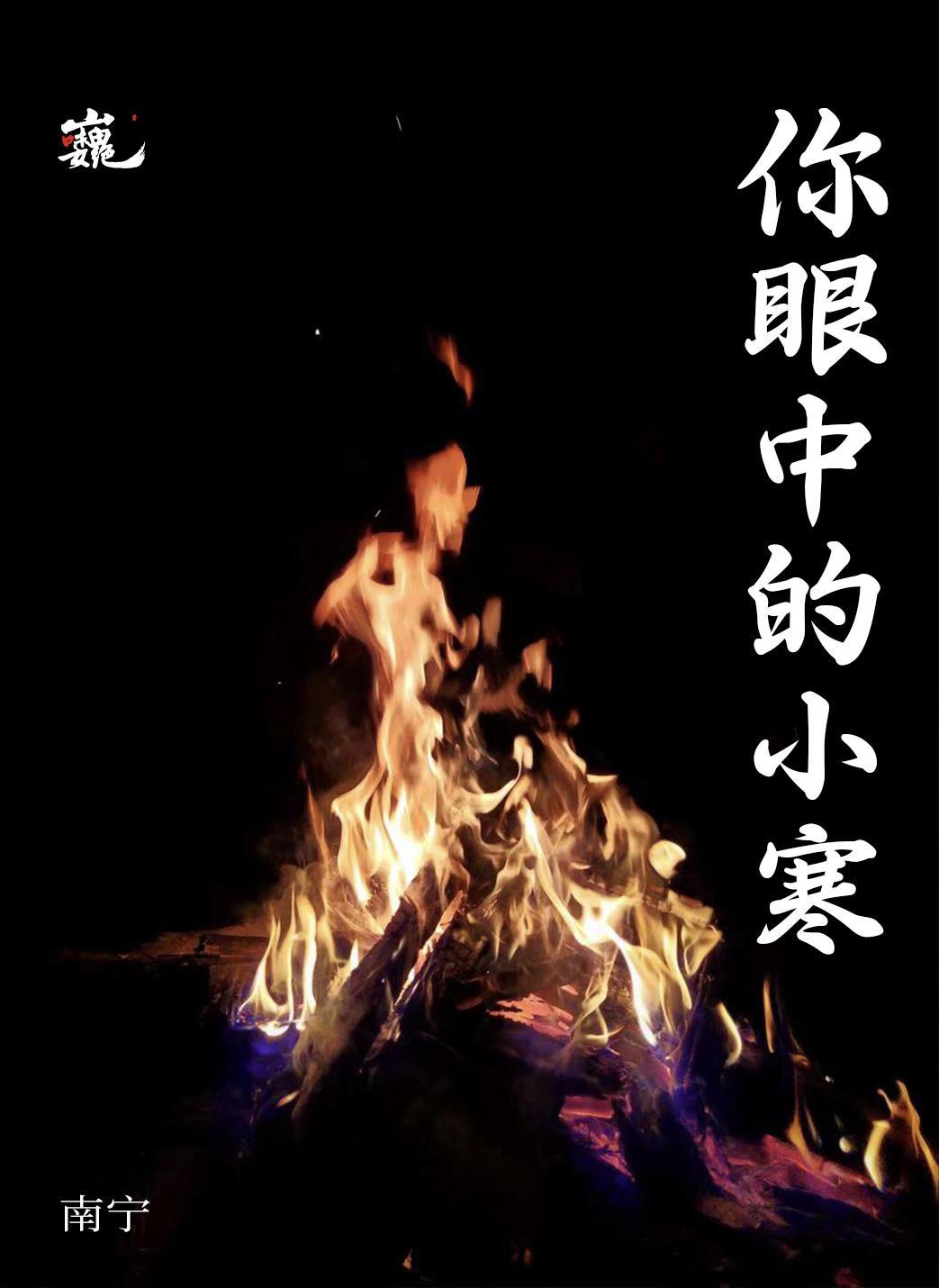 <p> 至，年关临，返乡行李可