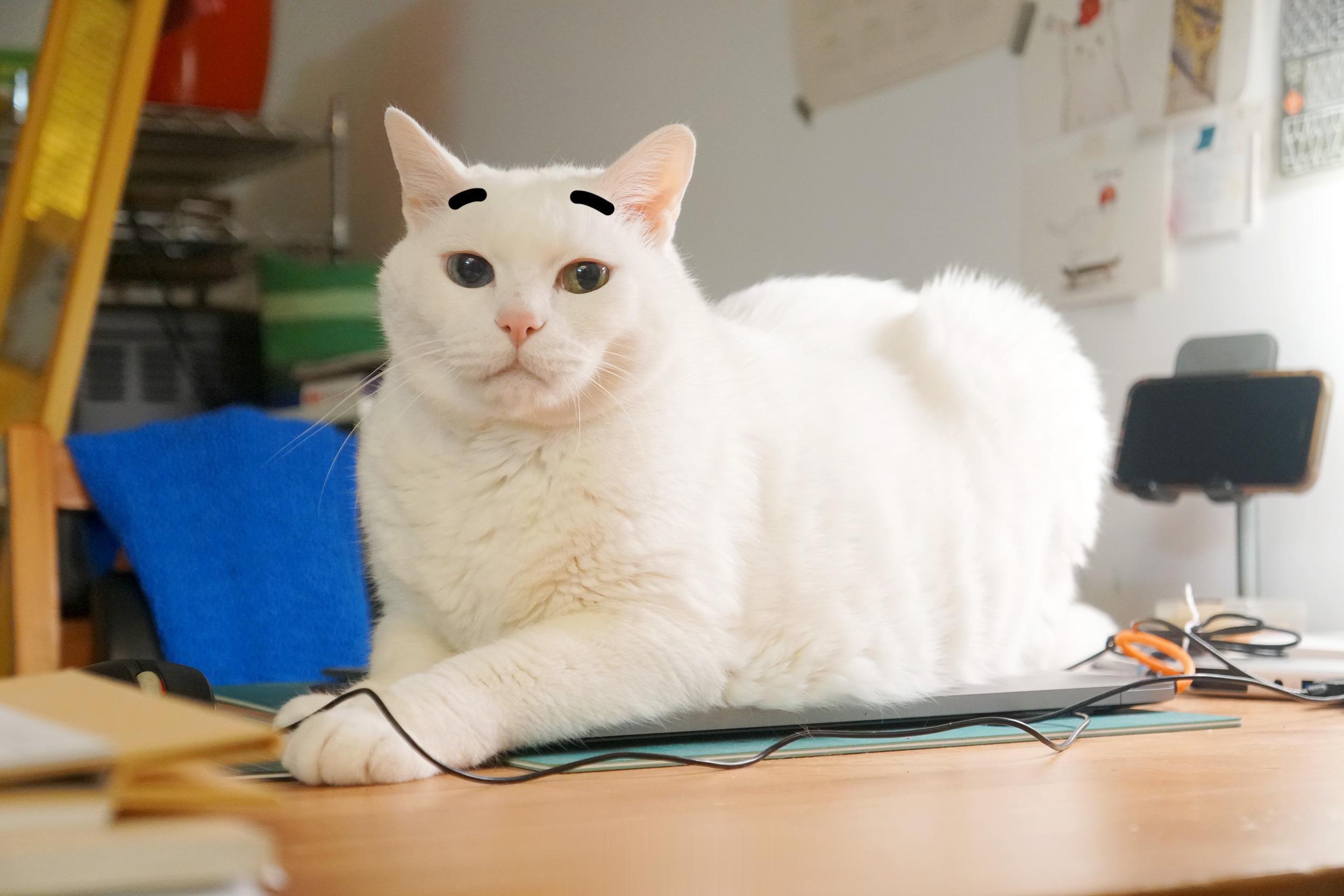 老寶愈陳愈香～ ​​​