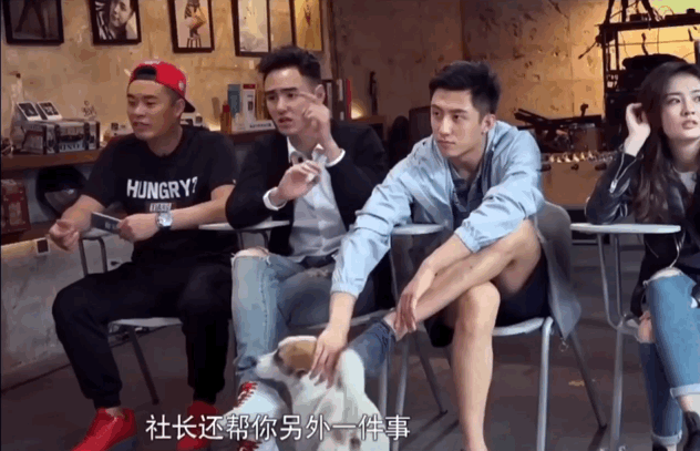 晚上来一波明星搞笑动图 ​​​