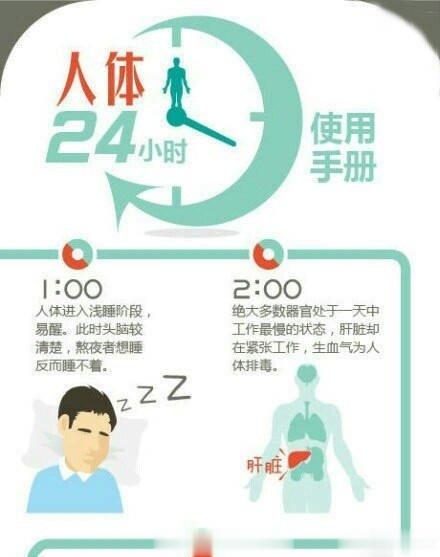 【人体24小时使用手册】800，各项生理激素分泌旺盛，进入工作状态；1200—1