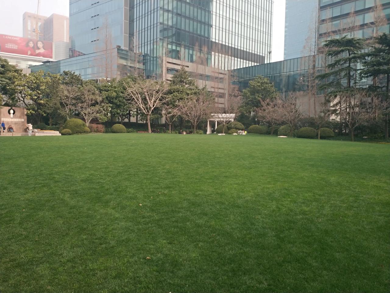 这次被遛到静安公园，小儿美，在高楼大厦里像个小绿洲，小猫小狗还有跳新疆舞的大爷大