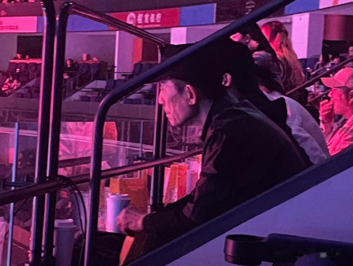 张艺谋来看LPL决赛了！

在LPL春季赛决赛的现场，张艺谋导演出现在了观众席上