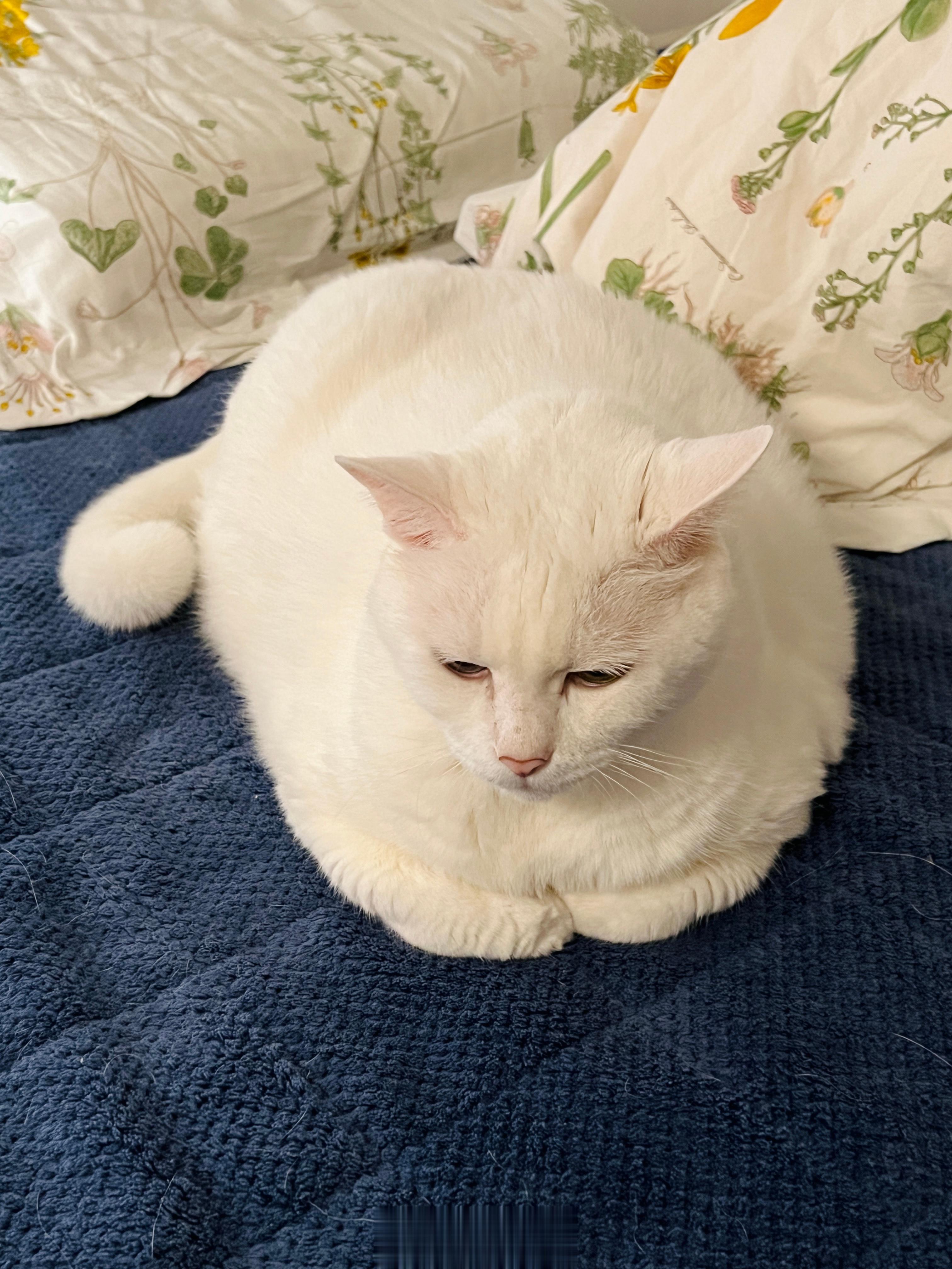 九頭身比例不在惹⋯ ​​​