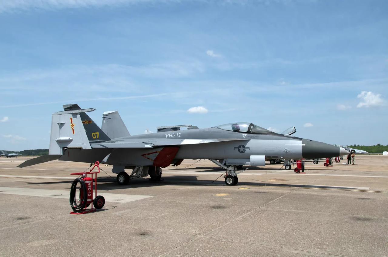 美国海军用F-18E/F模拟我军歼-15“飞鲨”战斗机，我们应该高兴！

自从首