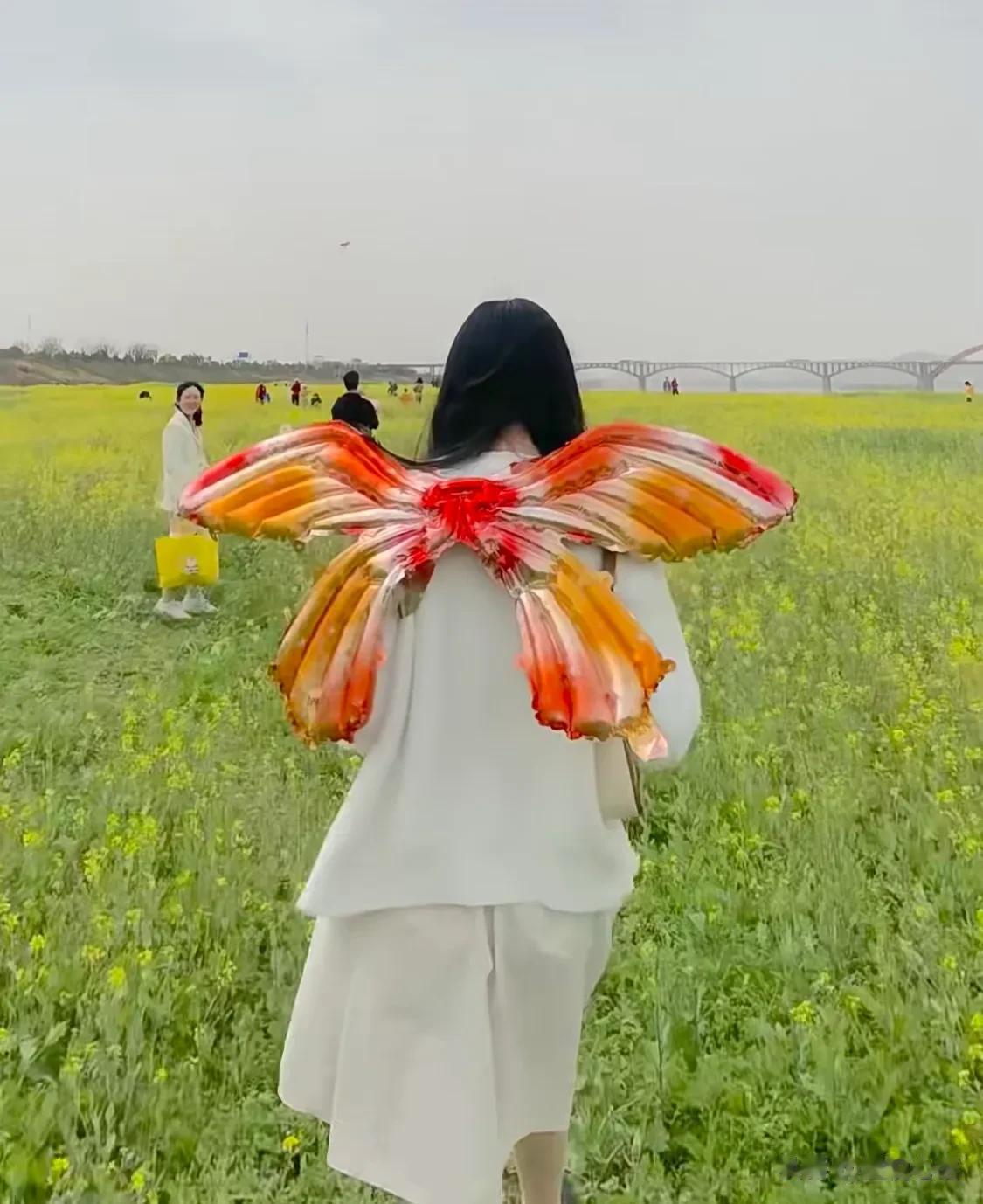 长沙湘江边上发现超绝美的油菜花田海！
大家速度去拍照！超美！
油菜花应该会在这周