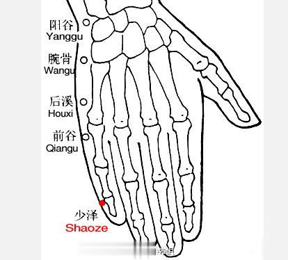 【听力下降按“阳谷穴”】阳谷穴属手太阳小肠经，可达耳中，对治疗耳鸣、神经性耳聋有