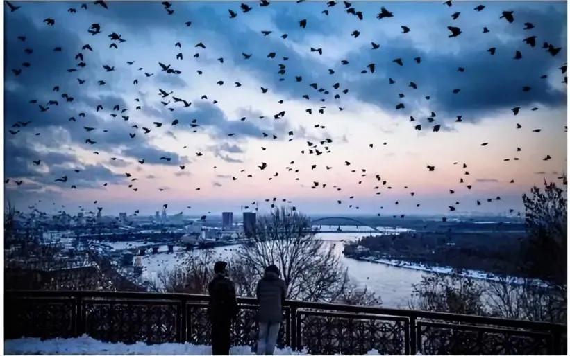 ‼️🇺🇦旧寡头刚去，新寡头又来。据彭博社报道，乌克兰旧寡头的力量在俄乌冲突中