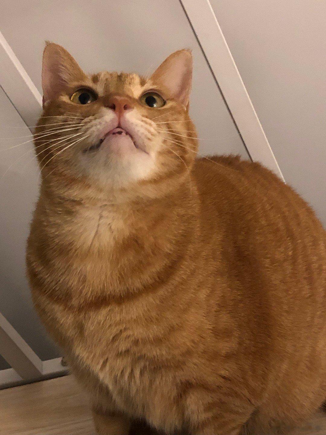 早哇小可爱 ​​​