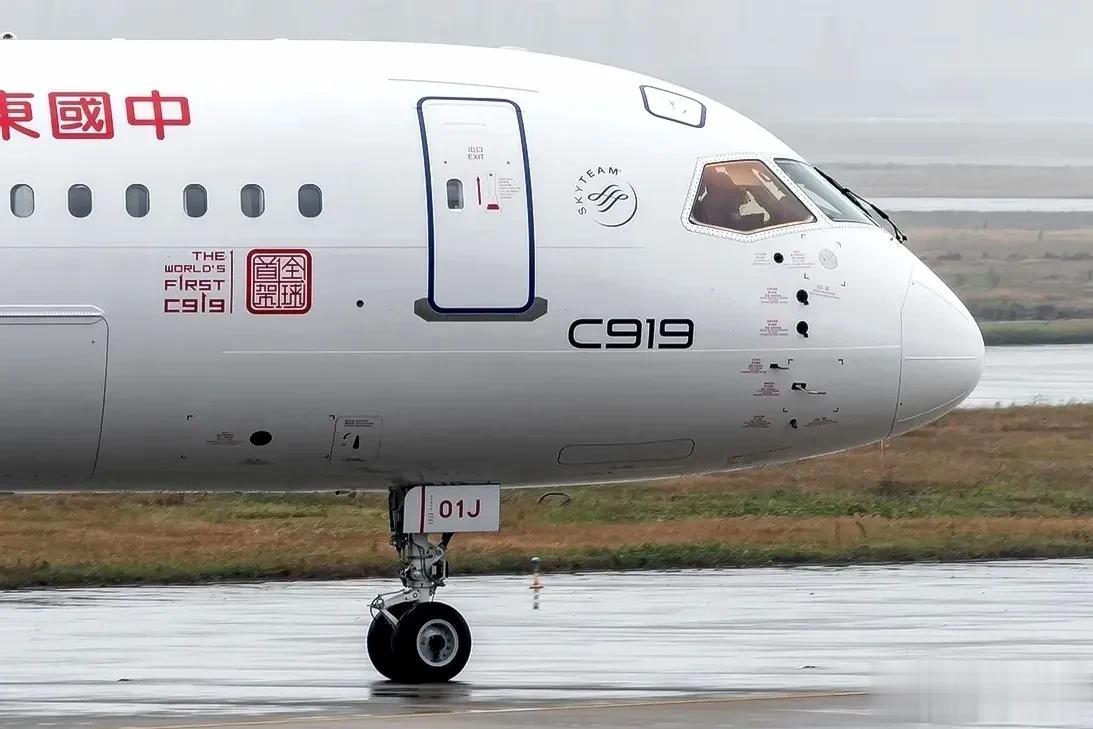 他们很像嘛？
图1是波音787，宽体客机，载客200-300人
图2是商飞919