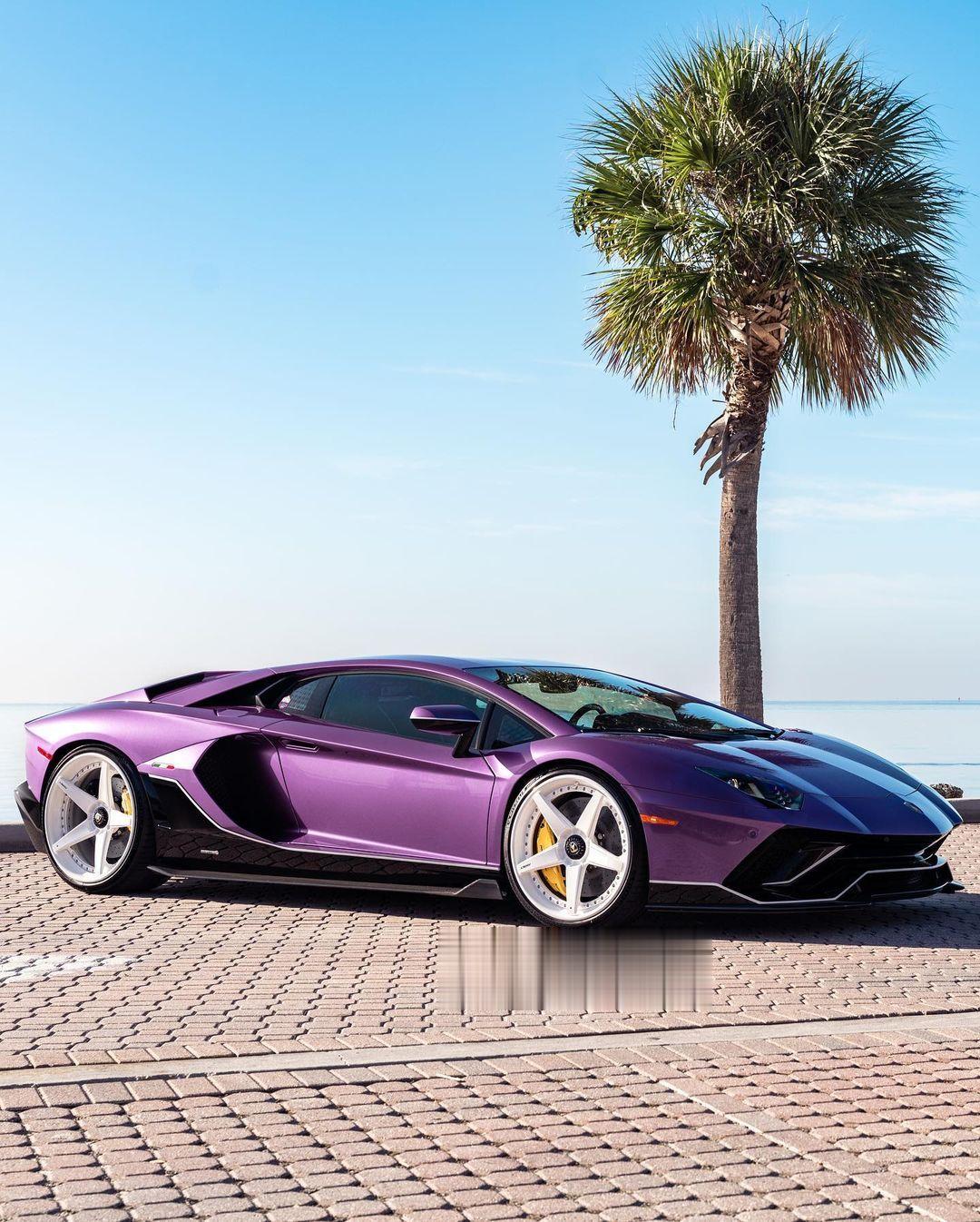 lamborghini aventador ultimae 💜#aventad