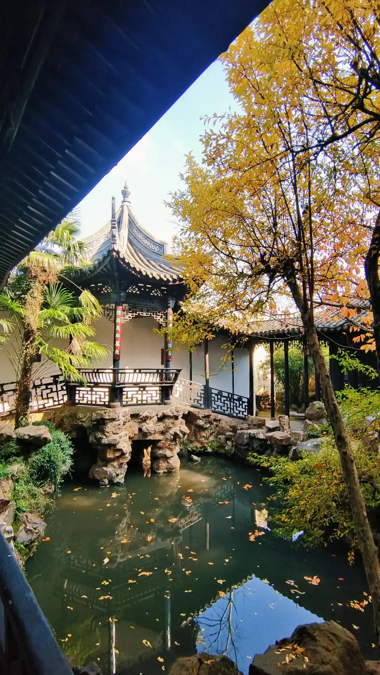   
在这个冬日的午后，阳光如