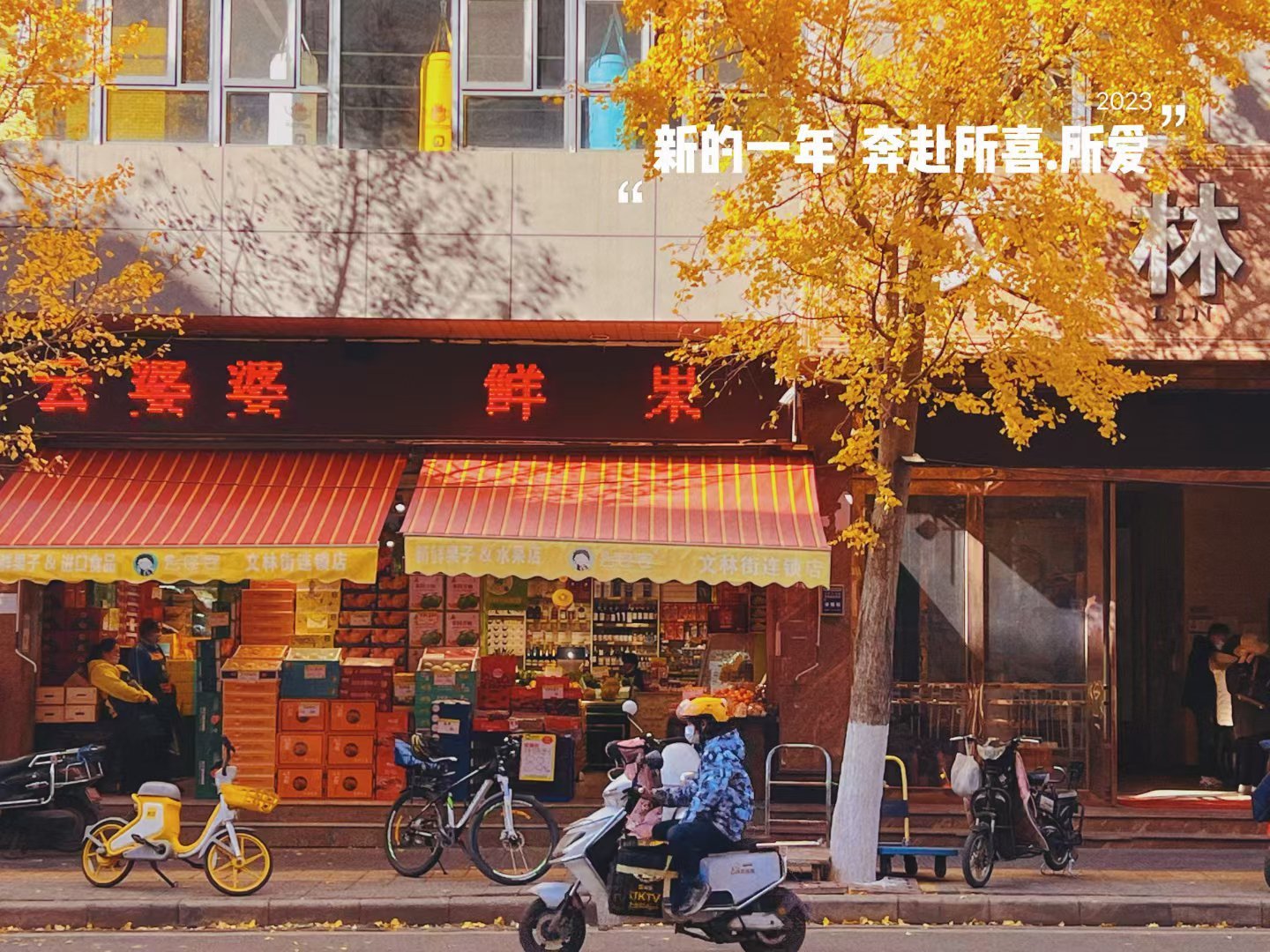 不能带走四季的风，那就卷走一路