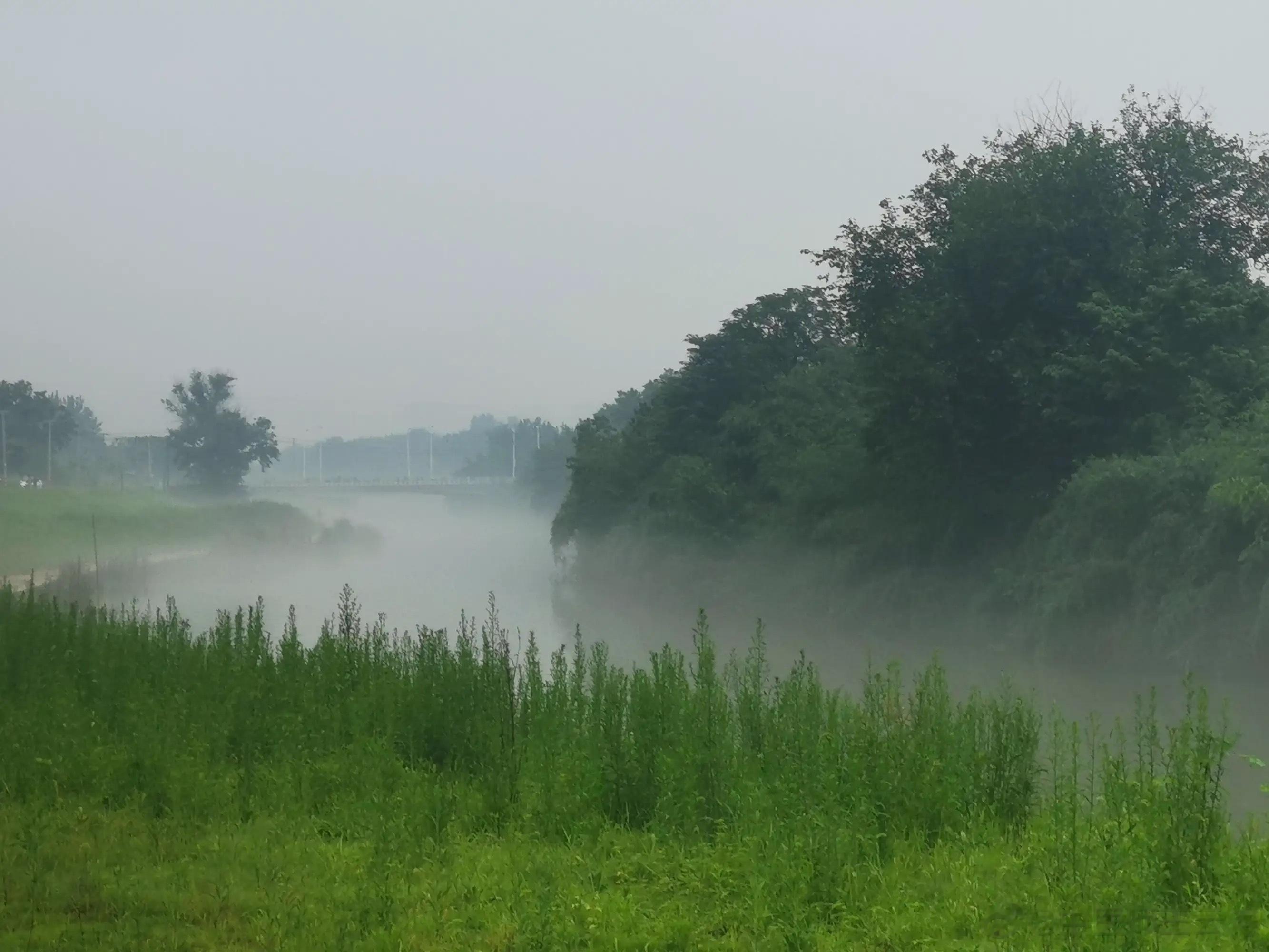 营卫，与中风伤寒的关系有时难以