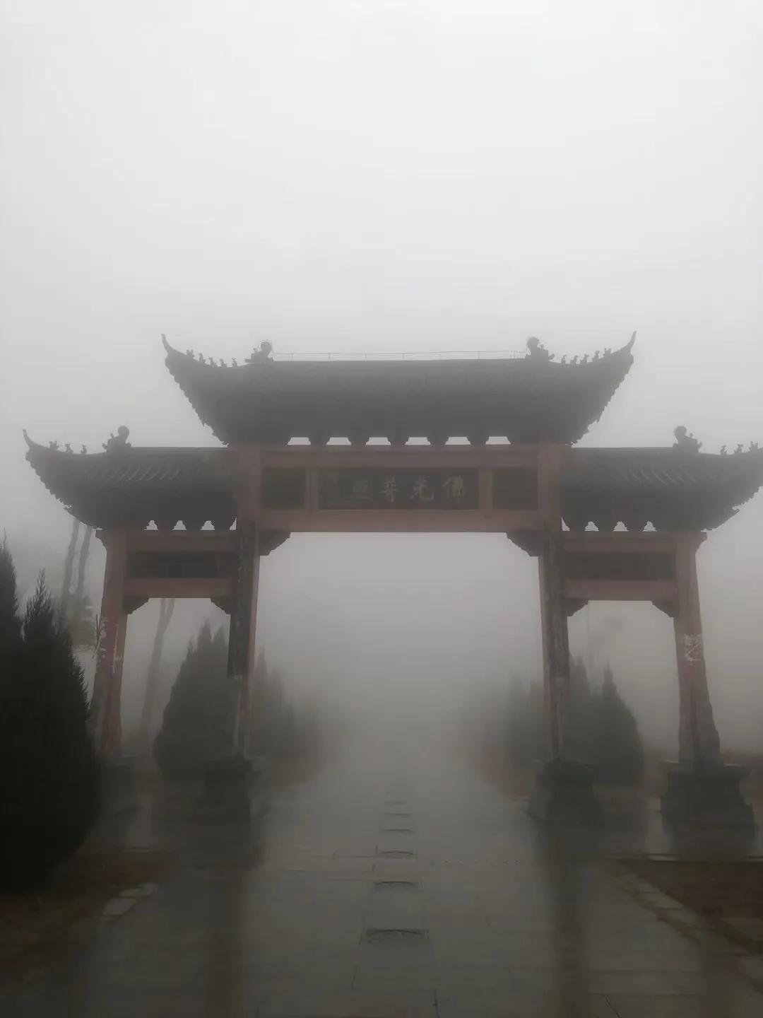 一名男同学因抢了教授的话筒而被激赞，一名女同学因一段慷慨激昂的发言而遭怒批。我很