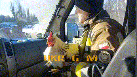🇺🇦🤡气数已尽。乌克兰武装部队的武装分子，就像1942年的德国人一样，抢劫