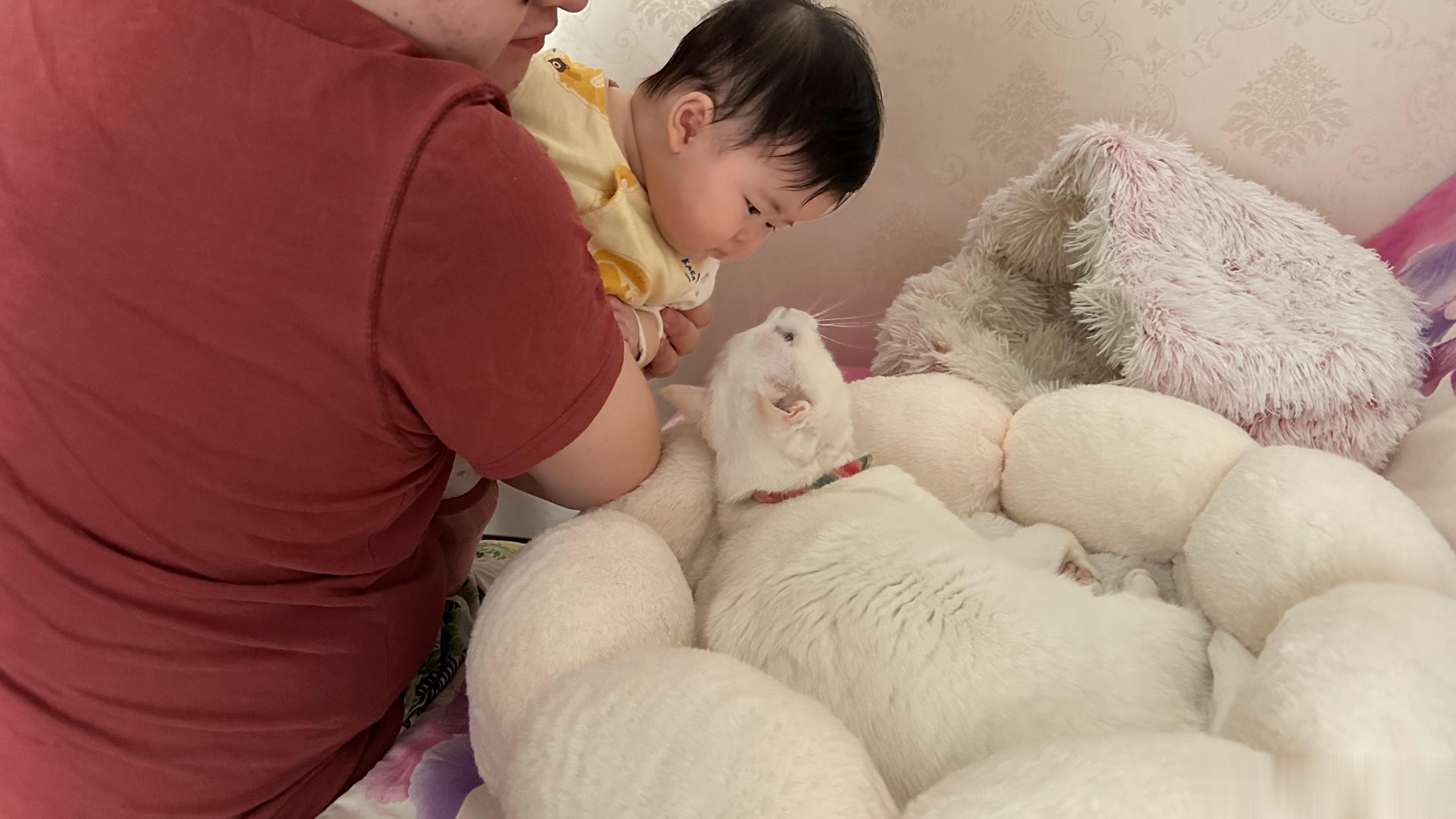  这一幕终于出现了，姐妹俩对视