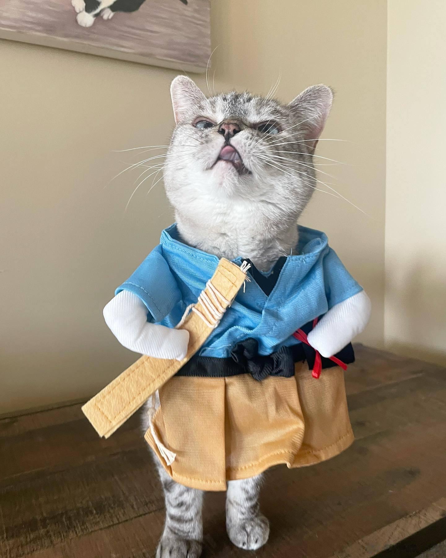奇迹Nala ​​​