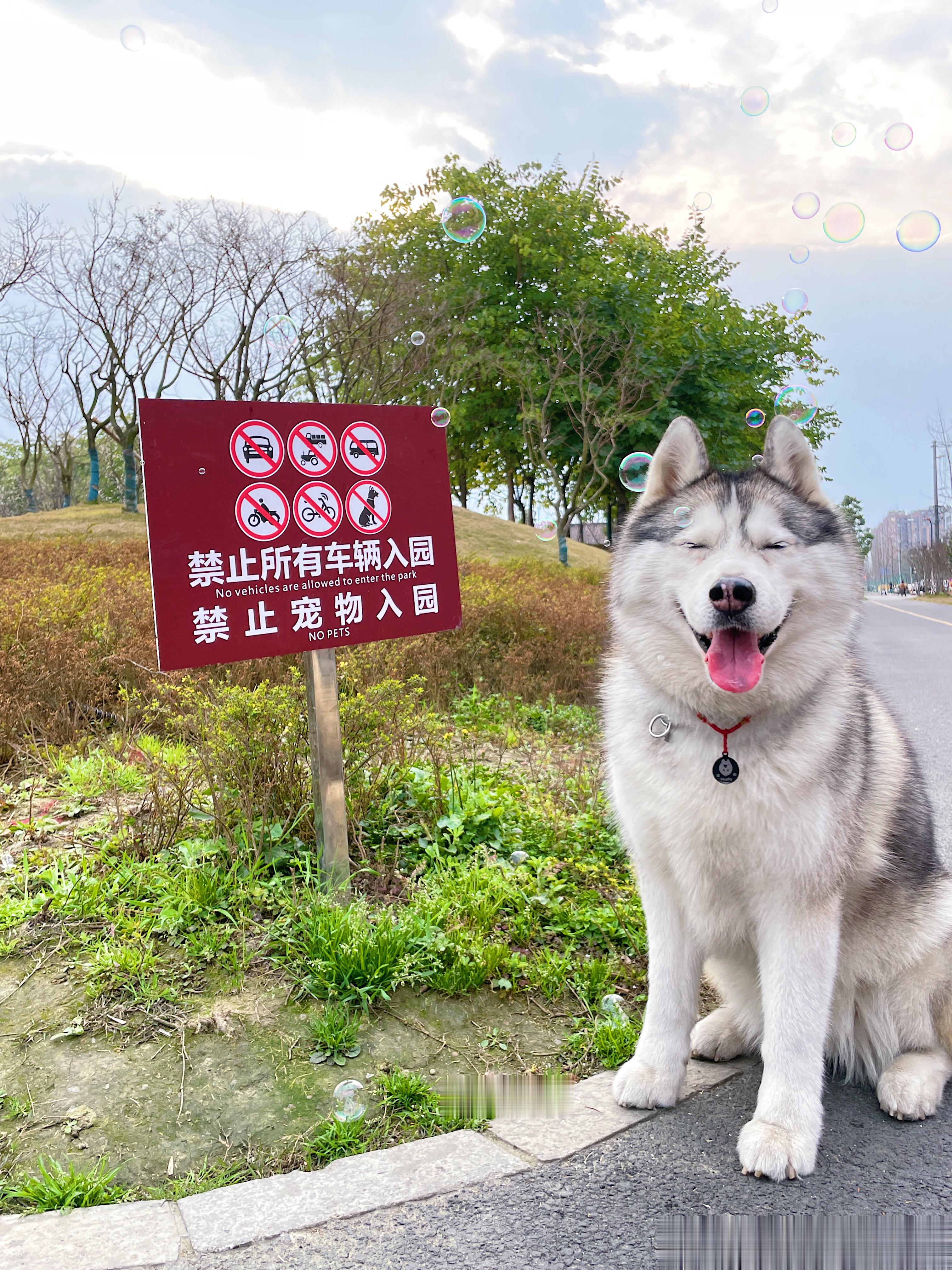  某些打卡行为 ​​​