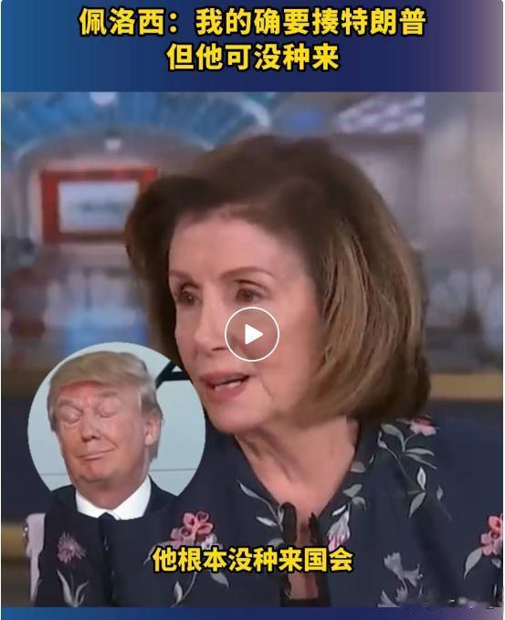 佩洛西：我的确要揍特朗普，但他