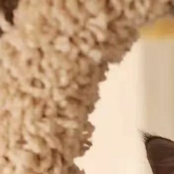 #熊猫守护者[超话]##阳光信用##每日一善# 人生看不惯的东西太多，看清、看懂
