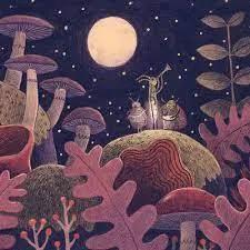 没有路灯的地方，夜里到处是
