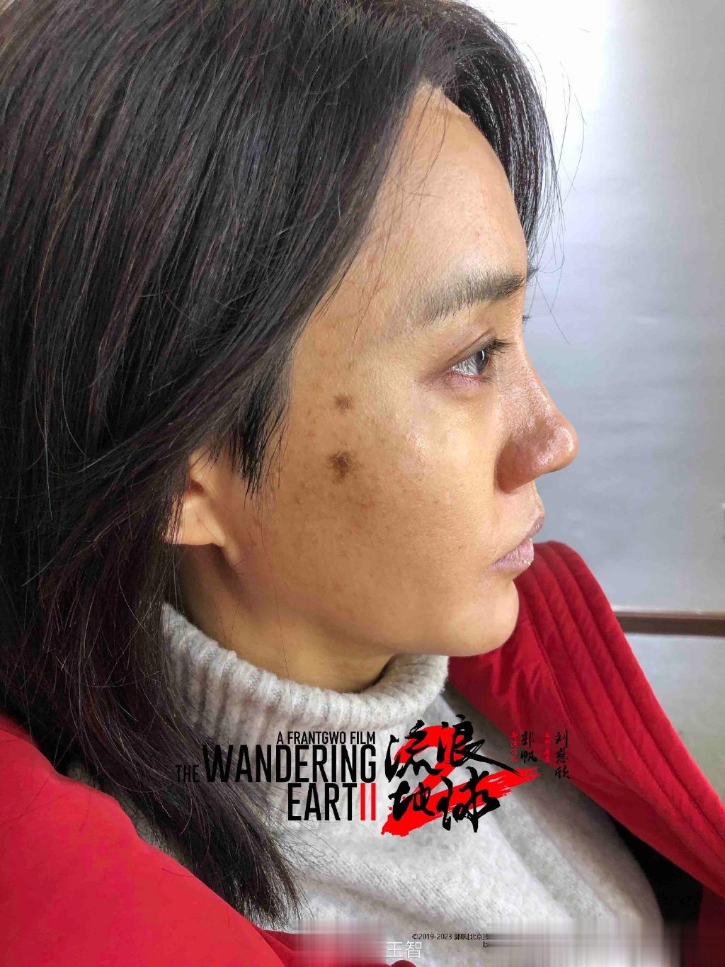 #王智说流浪地球2是细节控剧组# 《流浪地球2》不愧是国内科幻电影的天花板，用心