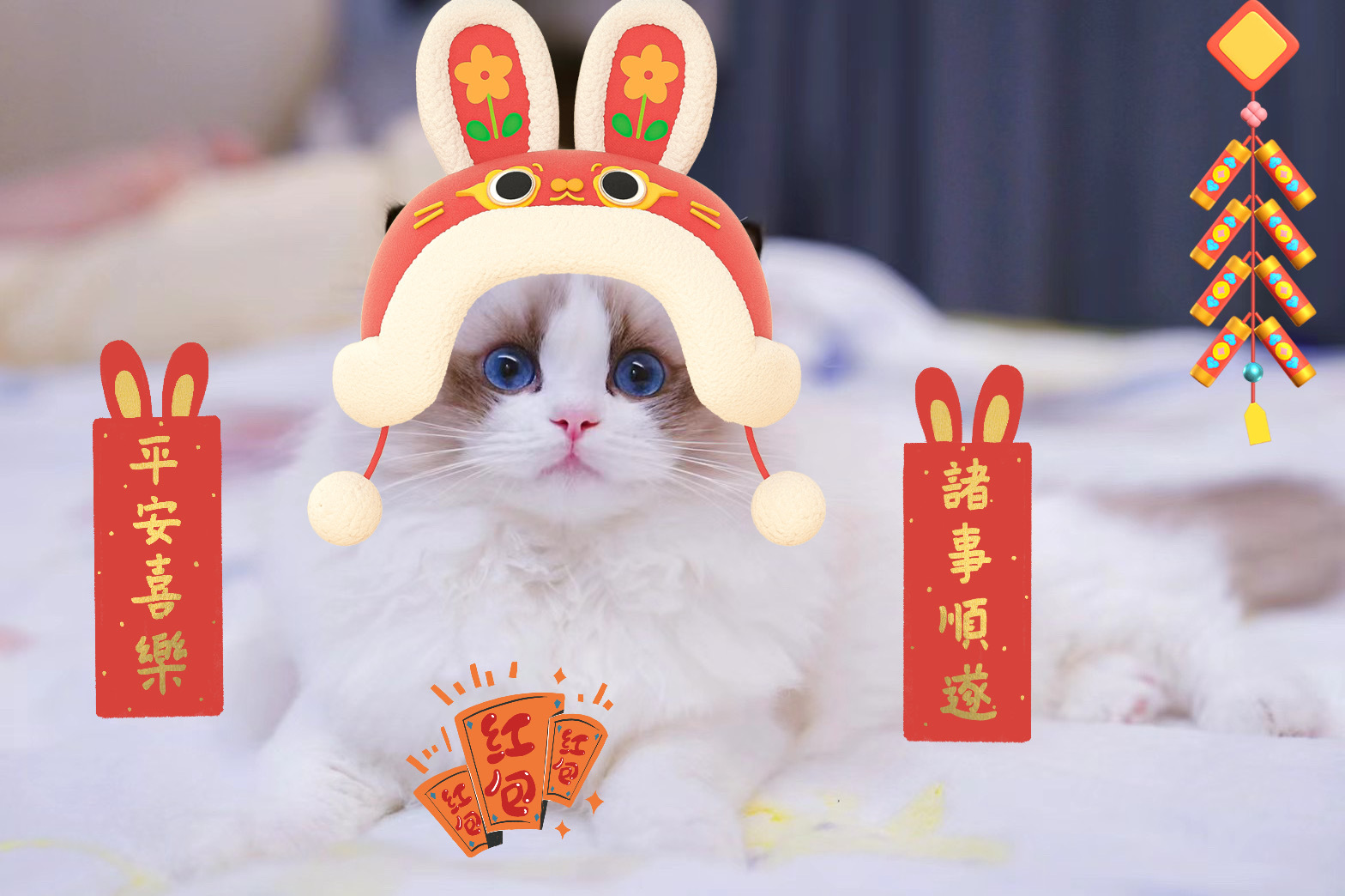 🎊新年快乐🧧㊗️大家202