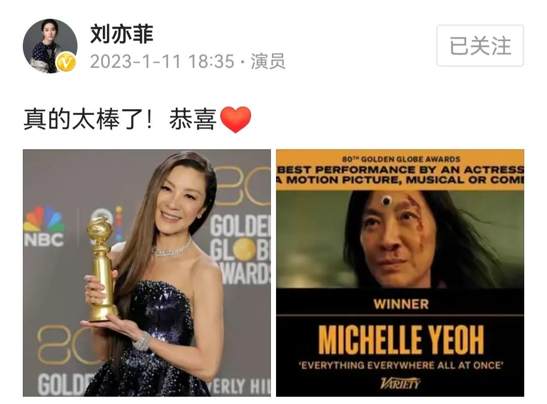刘亦菲发文祝贺杨紫琼获奖！

