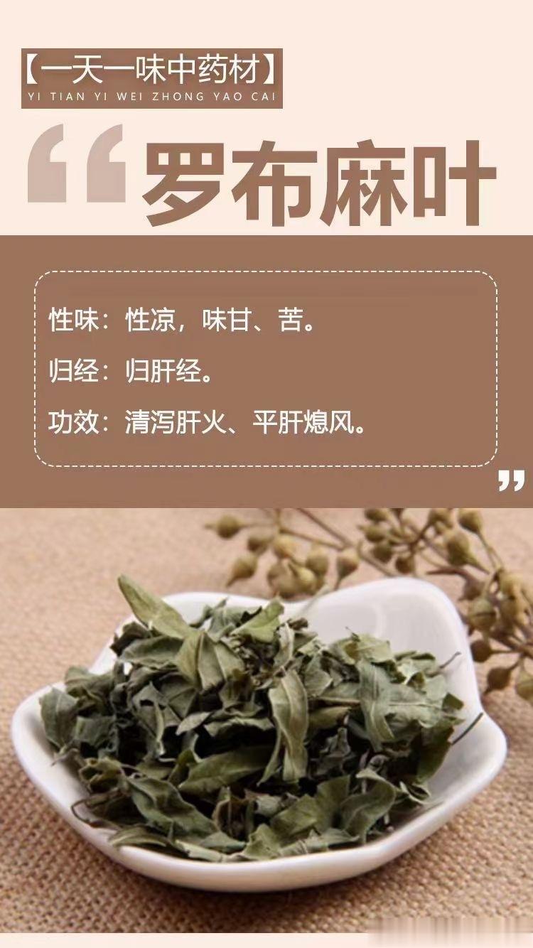  🌿【一天一味中药材】🌿 