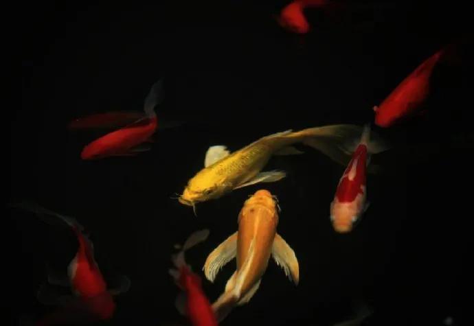 四月你好[玫瑰]好运顺遂 …[心] ​​​ 