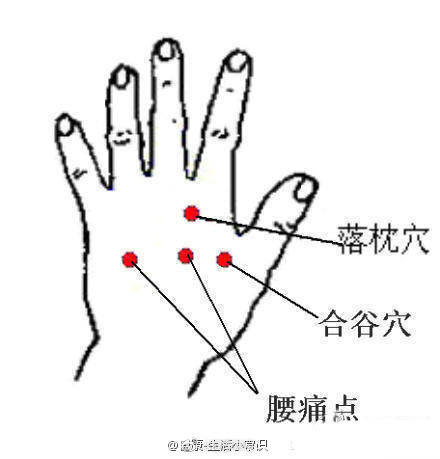 【日常3小病按摩巧治疗】①落枕。“落枕穴”位于手背中指和食指相对的掌骨之间，掌指