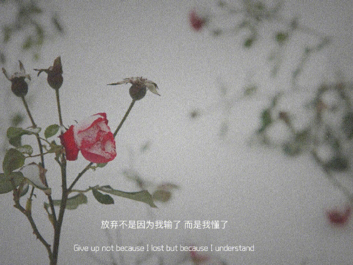  我感情路不顺？谁说的，明明一路也没有。 ​​​