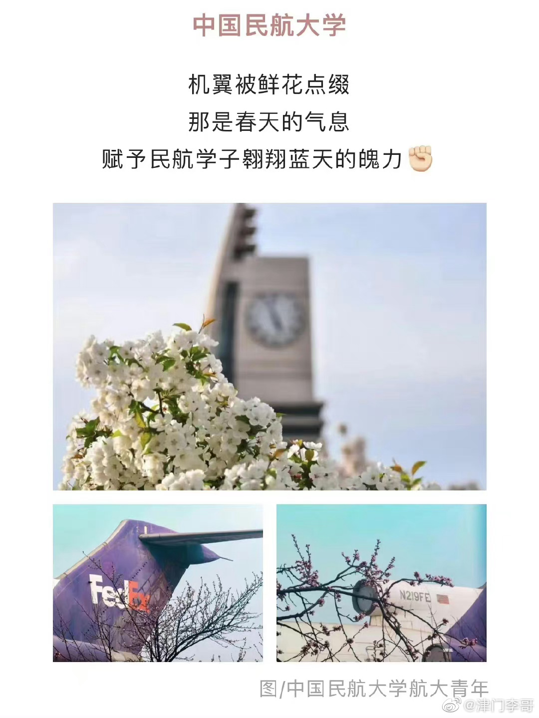 【天津高校校花图鉴！带你共享花开烂漫时 】花开的季节，校园里放眼望去，处处姹紫嫣