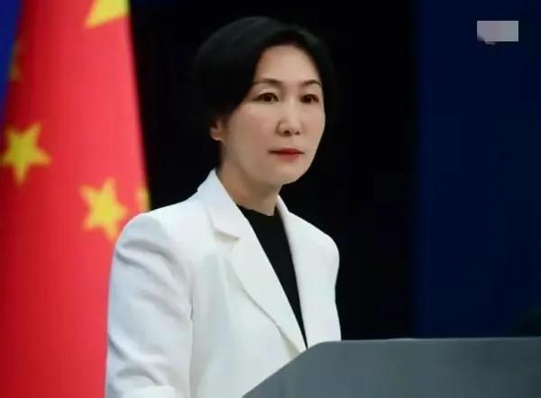 “希望地区国家看清楚台海局势真正的拱火者是谁、目的是什么，不要火中取栗、殃及自身