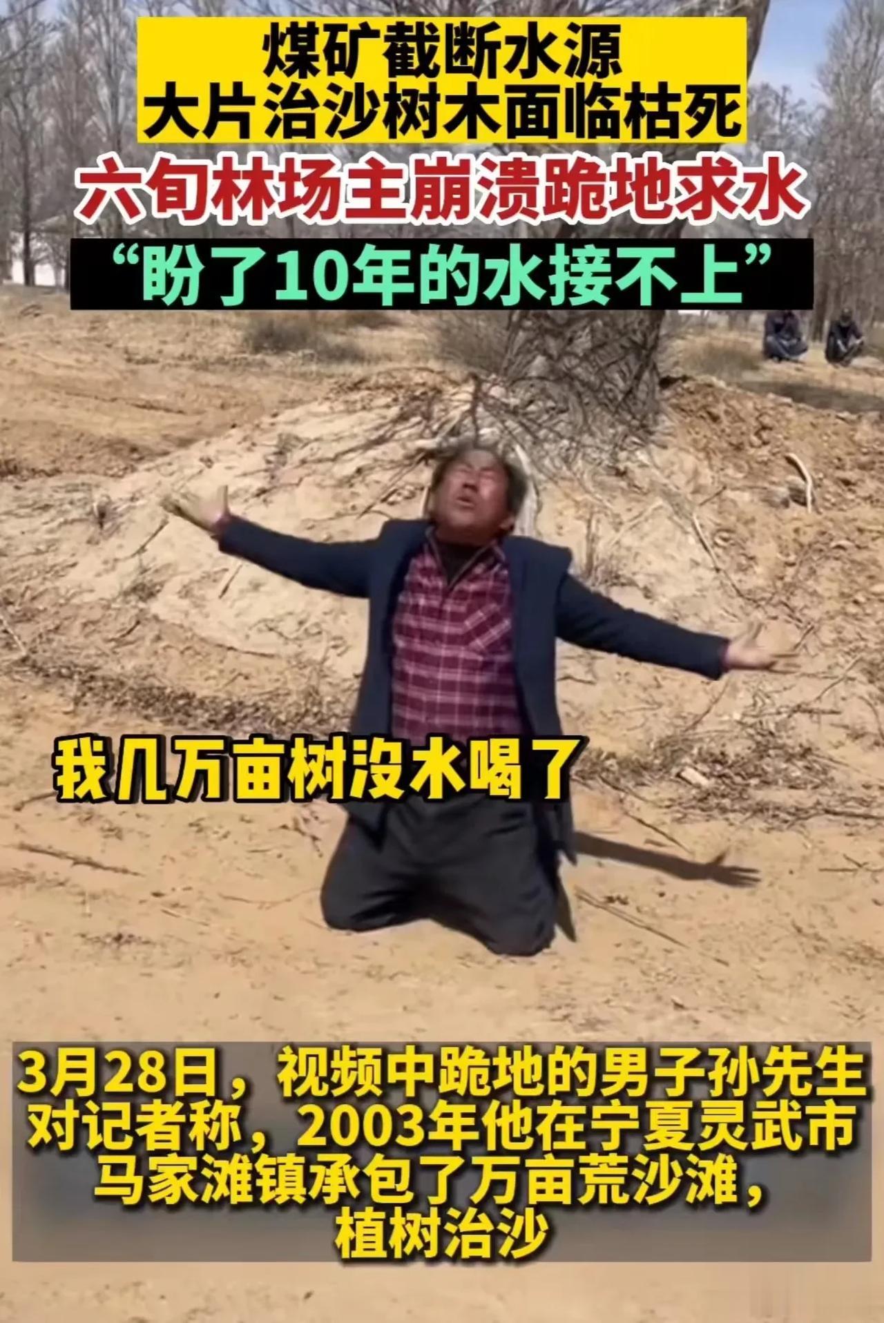心酸！“当代愚公”孙国友，花费20多年，耗尽千万资产，将大西北1.8万亩沙漠变成