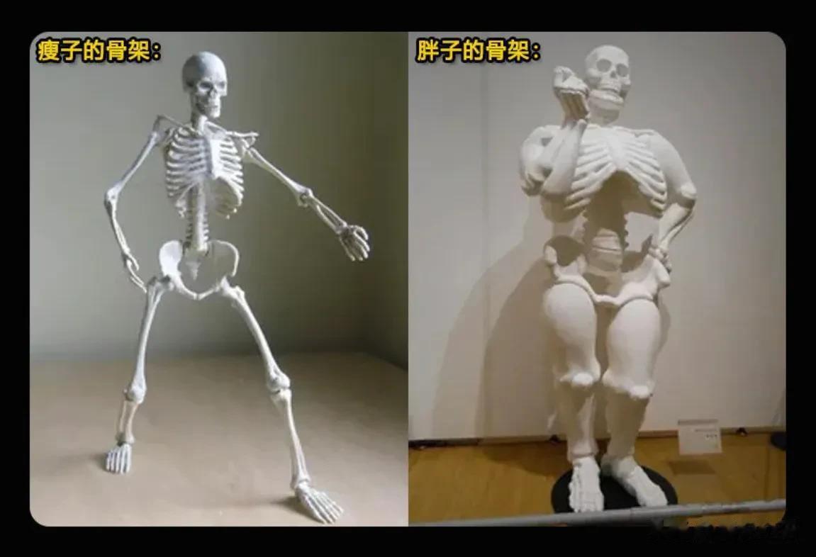 终于知道为什么有的人怎么吃都吃不胖，而有的人喝凉水都会胖了[笑哭]

大家骨架大