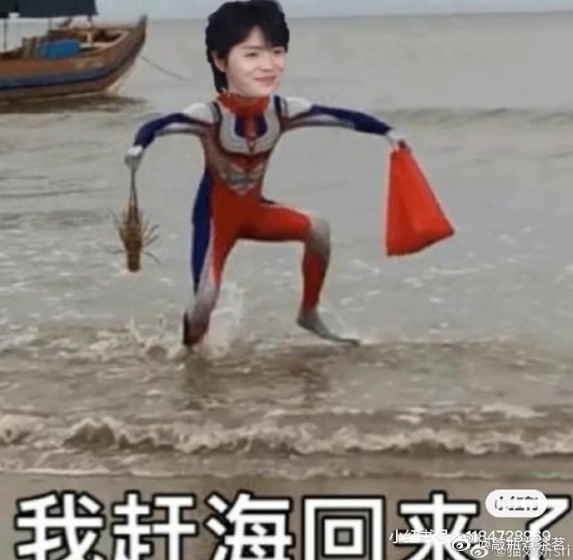 我来偷肖宇梁表情包了！这些都是