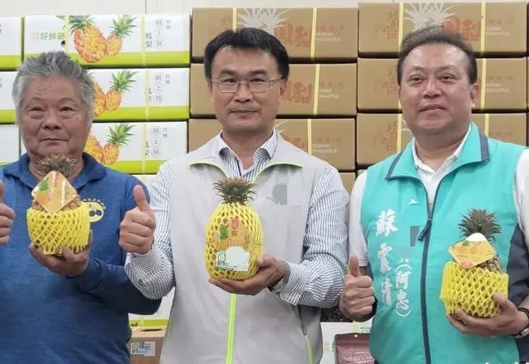 台农委会负责人陈吉仲叫嚣，不畏中国（大陆）的所谓“蓄意片面打压”，台湾地区的菠萝